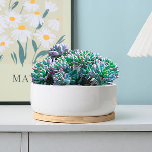 Pot de fleurs en céramique émaillée, style nordique, luxe léger, motif arbre de Noël créatif, texture feuille, écologique, pour plantes vertes - Product Image 1