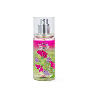 Perfume Corporal en Aerosol para Mujer 'Pretty Girl' de 88 ml, Marca Privada, Aroma Duradero, Hermoso <span class=keywords><strong>y</strong></span> Encantador, Fragancia Popular - Product Image 4
