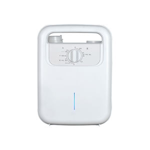 Mini sèche-chaussures électrique Portable 2.3Kg, usage <span class=keywords><strong>professionnel</strong></span>, Futon, Machine pour séchage de vêtements, sortie d'usine, livraison gratuite - Product Image 2