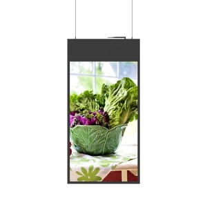 Bán buôn OEM 43/49/55 inch siêu mỏng kỹ thuật số biển kép Màn hình hiển thị vớ<span class=keywords><strong>i</strong></span> Lan quản lý để sử dụng trong nhà trong tàu đ<span class=keywords><strong>i</strong></span>ện ngầm & sân bay - Product Image 1