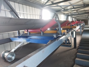 Balance à courroie électronique de haute précision pour bande transporteuse robuste-Vente directe du fabricant avec fonction d'équilibre - Product Image 2