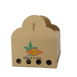 Customized Logo Craft Paper Corrugated Fruit Packaging Boxes