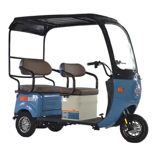 High Quality 800W 48V 60V Solar Electric Tricycle Adult Electric Tricycles With Roof