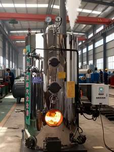 מחולל קיטור ביולוגי מסדרת LZF, דוד ביומסה, קיבולת 0.2/0.3/0.5/0.7 טון/שעה - Product Image 3