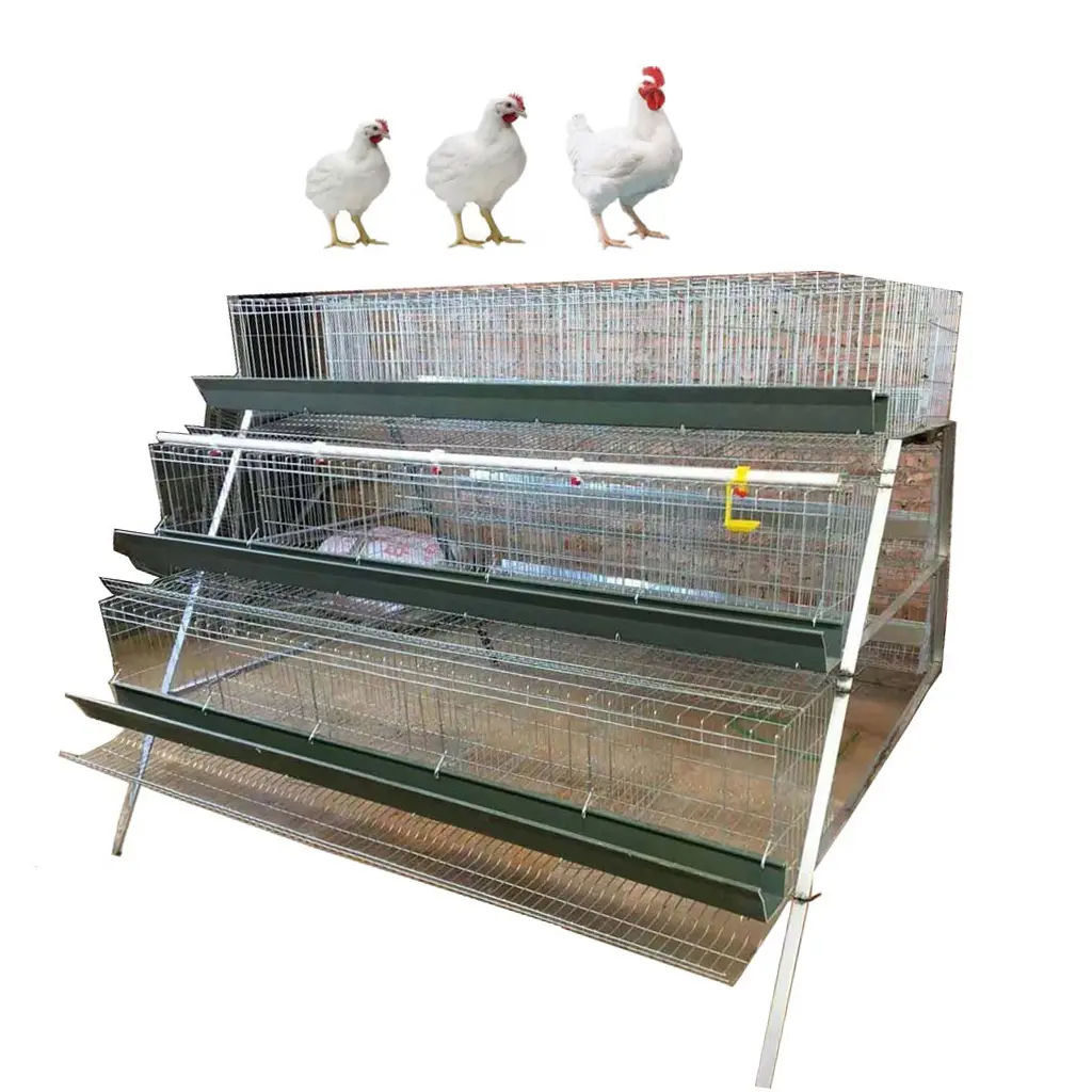 กรงสัตว์ฟาร์มไก่ไข่ระบบอุปกรณ์อัตโนมัติแบตเตอรี่ชั้นกรงไก่ HJ-AC90