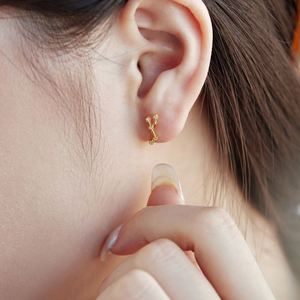 Dylam Stylish <b>Fine</b> Jewelry Women Hypoallergenic 925 Sterling Silver 5A Diamond Zirconia Twelve Constellations <b>Stud</b> <b>Earrings</b> - Product Image 5