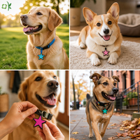 Etiquettes d'identification pour animaux de compagnie en silicone gravées avec un mini motif étoile OKSILICONE, pour inscrire le nom de votre chien, étiquette vierge en silicone pour animaux de compagnie