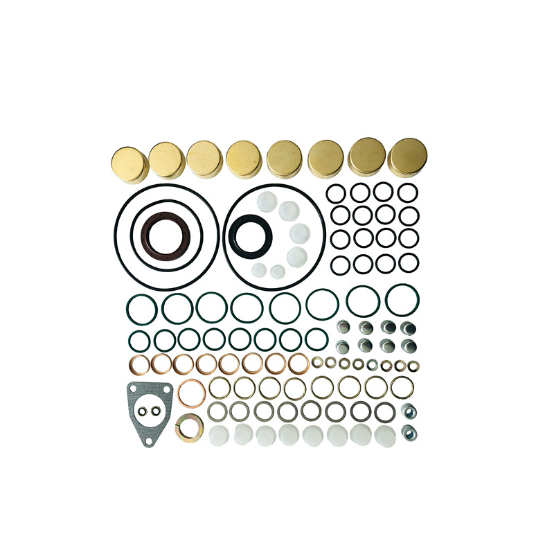 Diesel Fuel Injection Pump Repair Kits/gasket kit 2417010022