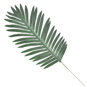 Hojas de Monstera Artificiales al por Mayor de 10cm-30cm, Vegetación de Seda para Decoración de Bodas y Hogar - Product Image 5