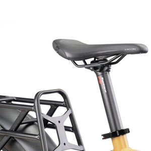 Bicicleta Eléctrica de Carga de Largo Alcance al por Mayor, 250W 48V <span class=keywords><strong>27.5</strong></span> Pulgadas, Grupo Shimano Deore XT de 12 Velocidades, Bicicleta Eléctrica de Carga para Adultos - Product Image 4