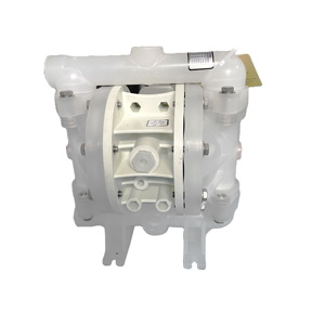 P100PPPPPTNUTFPTV0014 ปั๊มไดอะแฟรมยางไวลด์เอน ไดอะแฟรม PTFE/ บอล - Product Image 1