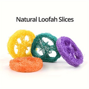 Bolas de Luffa Natural con Forma de Dibujos Animados para Mascotas, Mordedores para Limpiar los Dientes, Golosinas Masticables para Loros, Hámsteres, Gatos y Perros, de 4-8 cm - Product Image 4