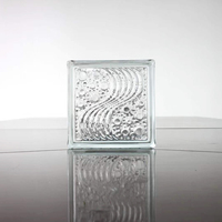 Offre Spéciale 190x190x80MM, Dimensions de prix, mur décoratif, verre de construction, couleur, blocs de verre transparent pour mur