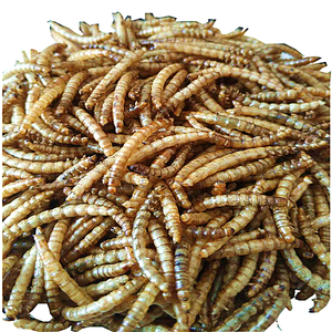 Protein cao khô mealworms và đen lính <span class=keywords><strong>Fly</strong></span> ấu trùng từ Việt Nam cho ngự<span class=keywords><strong>a</strong></span> Pig Fish Dog sử dụng - Product Image 2
