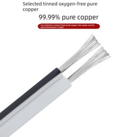 سلك طاقة نحاسي نقي ثنائي النواة 0.5/0.75/1 مم² مع عازل PVC أحمر وأسود وموصل محول 250 فولت بطول مخصص