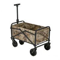Chariot pliable en acier inoxydable pour enfants avec poignée télescopique pour jardin, plage, camping, poussette jouet