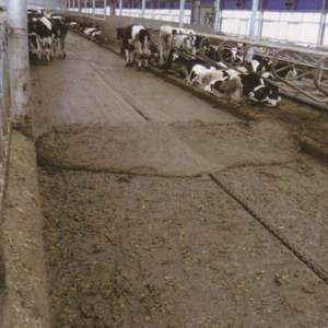 Viehdung reinigungs maschine Edelstahl-Mistabsc haber platte für Tierhaltung geräte - Product Image 5