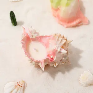 卸売大豆ワックス海の海のテーマスタイル天然貝殻巻き貝形の香りのキャンドル