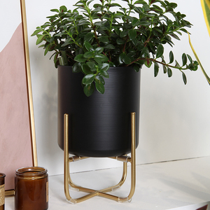 Support de <span class=keywords><strong>plante</strong></span> en or, décoration d'intérieur moderne, style mid-century, support de présentation, étagère en <span class=keywords><strong>fer</strong></span> forgé, pot de fleurs d'intérieur, support de <span class=keywords><strong>plante</strong></span> en métal - Product Image 6