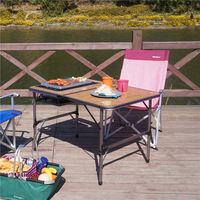 Table de camping pliable en aluminium de haute qualité au design japonais - Construction métallique durable