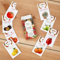 Haute qualité intérieur légume tomate jardin truie paquet boîte plante Kit aromatique vieilles tomates pour sol utilisation chambre Occasion