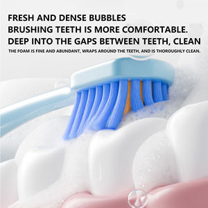 <span class=keywords><strong>Pasta</strong></span> Dental de Carbón Vegetal Herbal con Menta <span class=keywords><strong>Fresca</strong></span> de 150g <span class=keywords><strong>al</strong></span> por Mayor con Cepillo de Dientes Blanqueador y Antibacteriano para Dientes Sensibles Marca OEM - Product Image 6