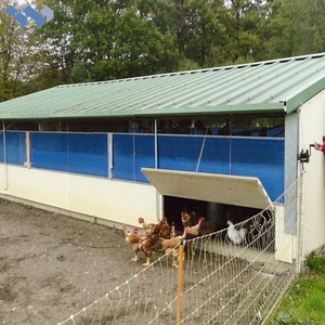 Pollaio in Struttura d'Acciaio Personalizzabile, Alta Qualità Q235/Q345, Struttura Stabile per Allevamento Avicolo - Product Image 3