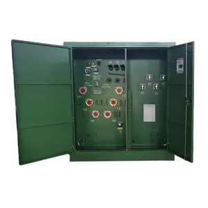 Trasformatore montato su Pad LVBIAN 100 kVA 13.8kV-400/230V 60Hz con alimentazione ad anello