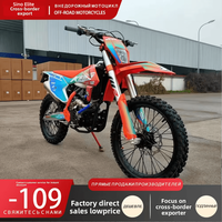 Moto tout-terrain à quatre temps, refroidissement par eau, cylindrée 300 cm³, puissance 19 kW, vitesse maximale 95 km/h, démarrage électrique, frein à disque double