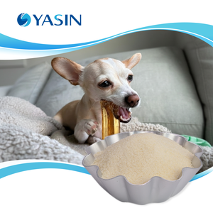 Gélatine comestible Alimentaire Halal Vente en gros Organique 150-300 Poudre de gélatine de <span class=keywords><strong>moelle</strong></span> osseuse Bloom pour faire des mastics pour chiens - Product Image 1