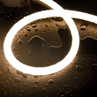 Tube néon LED en silicone noir de 22 mm de diamètre, flexible à 360 degrés
