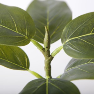 กระถางต้นไม้เทียมขนาด15ซม. <span class=keywords><strong>Ficus</strong></span> <span class=keywords><strong>altissima</strong></span> <span class=keywords><strong>altissima</strong></span> สำหรับสำนักงานของตกแต่งบ้าน - Product Image 3