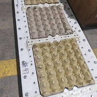 Moule à 30 alvéoles pour machine à fabriquer des plateaux à œufs, moules à plateaux à œufs en plastique, moules à plateaux à œufs en aluminium