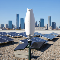 Éolienne verticale de 3 kW inspirée des fleurs, 3 kW 24v 48v, certifiée CE ISO, fonctionnement silencieux pour une alimentation électrique toute l'année
