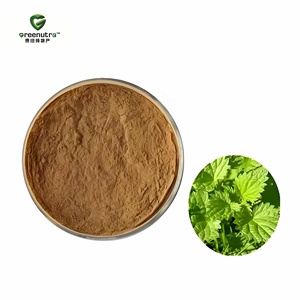 Extrait de <span class=keywords><strong>Racine</strong></span> de <span class=keywords><strong>Ortie</strong></span> Naturel Greenutra en Poudre, Extrait d'Urtica Dioica, Extrait d'<span class=keywords><strong>Ortie</strong></span> Picante 10:1, Extrait par Solvant pour la Santé - Product Image 2