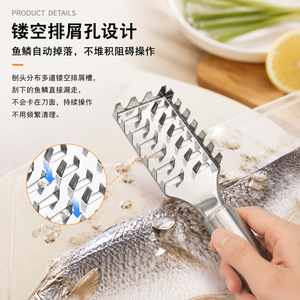 Removedor de escamas de pescado manual de acero inoxidable Chef Season Show, engrosado, para limpieza de mariscos - Product Image 2
