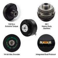 Actuador de articulación robótica Reacher RT-RJM8115-36A 24V 130Nm Pico CAN IP54 36:1 con engranaje planetario de alta resistencia para cintura de robot humanoide FOC