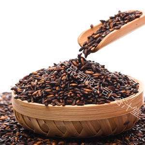 Nuevos productos puntuales, <span class=keywords><strong>arroz</strong></span> negro glutinoso, <span class=keywords><strong>arroz</strong></span> glutinoso pulido <span class=keywords><strong>chino</strong></span> orgánico Natural - Product Image 6