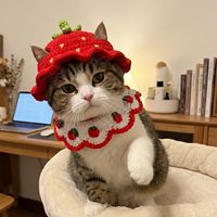 Ensemble de costumes pour animaux de compagnie sur le thème des fruits : chapeau tricoté en forme de fraise et collier assorti, design réglable pour accessoire de décoration de fête pour chat