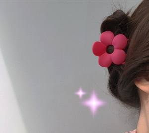 Vente Flash : Pinces à Cheveux Coréennes Estivales pour Femmes et Filles, Accessoires Quotidiens en Plastique Mat Coloré, Motifs Floraux Tendance - Product Image 3