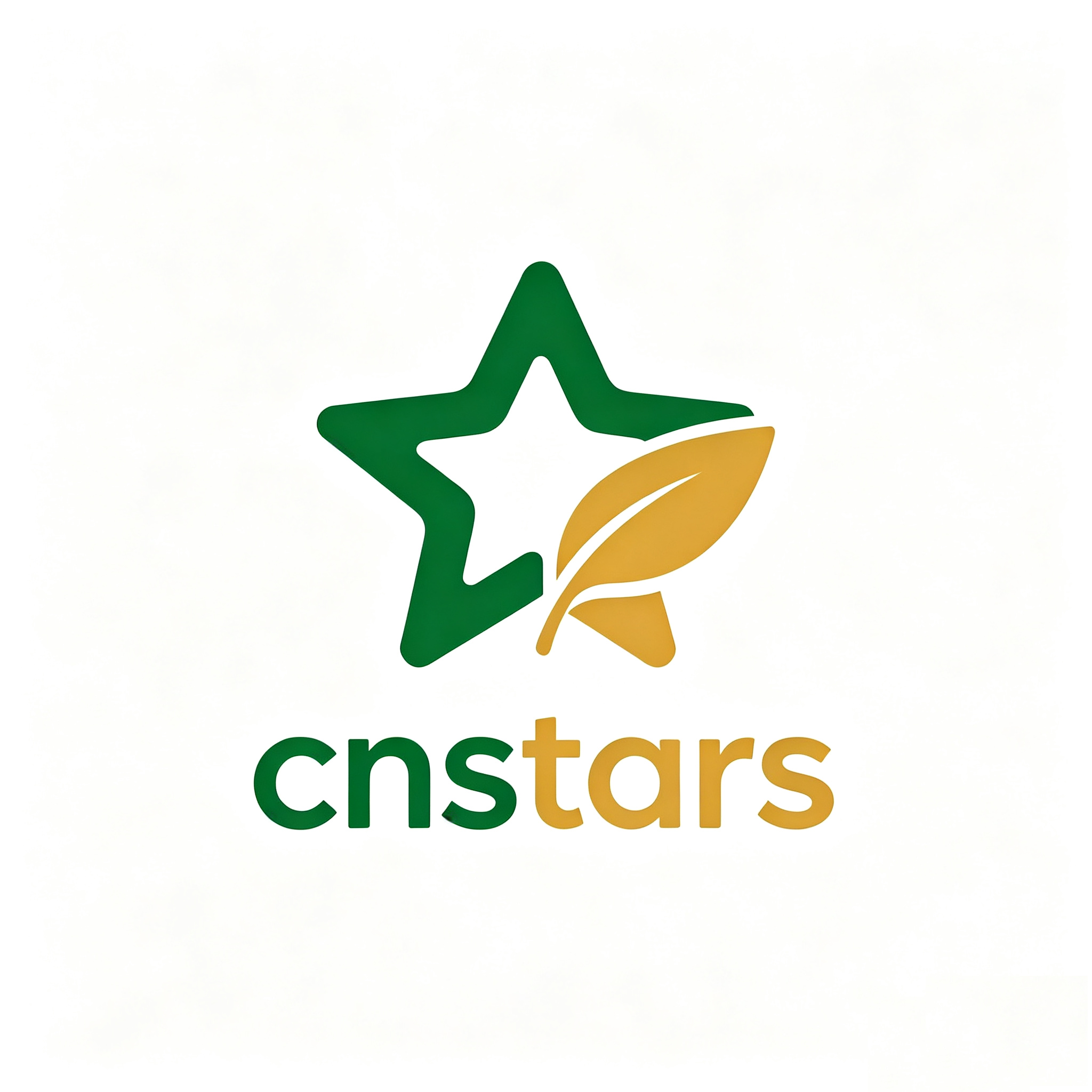 Starry Sky Cloud Audiovisual (Shaanxi) Cultural Development Co., Ltd. logo