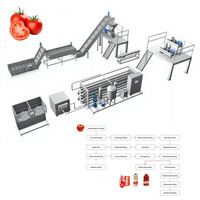 CE-gecertificeerde professionele fabrieksmachine voor het extraheren van tomatensap, hoge kwaliteit, industrieel, 220V, 380V, 415V