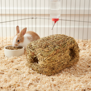 Casa para conejos con dos entradas - Product Image 6