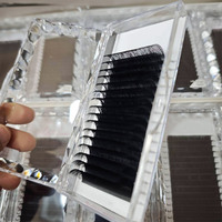 Private Label 0.03 0.05 0.07mm Extensions de cils individuels mats en vison de soie Cachemire Volume Lash Tray Easy Fan Lash Extensions