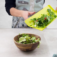 Planche à découper en plastique de cuisine écologique de nouvelle conception 2021, planche pliable de coupe pliable multicolore