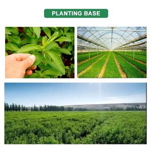 خدمة تصنيع المعدات الأصلية بديل السكر ستيفيا كيس السكر عصا سعر للقهوة الشاي - Product Image 6