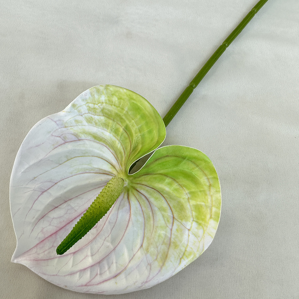 Bianco-verde