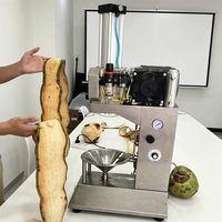 Industriële automatische machine voor het ontvellen van verse kokosnoten, machine voor het pellen van jonge kokosnoten, machine voor het verwijderen van kokosnootschillen