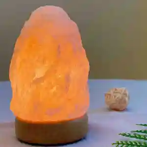 RTRLED Professional New Arrivals 3D LED Light Lamp Perfume Smokeless Aromatherapy Burner Salt Himalayan Salt Lamp Night Light