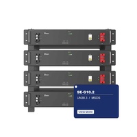 Batterie au lithium LiFePO4 haute capacité Deye SE-G10.2 basse tension 51,2 V 200 Ah 10,24 kWh